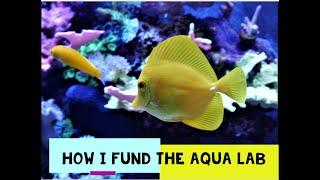 How I fund the Aqua Lab: Classroom reef #5