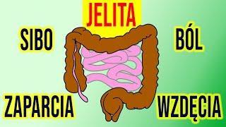 JELITA -  10 rad jak uzdrowić jelita - Akademii Zdrowia. DIETA, ZIOŁA, SUPLEMENTY