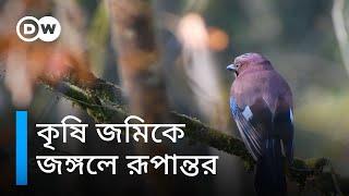 কৃষি জমিকে জঙ্গল বানানোর অভিযান