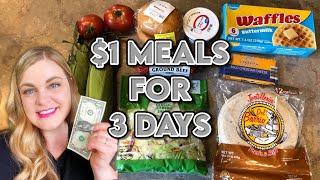 Extreme Grocery Budget Challenge | 3 Days of $1 Meals | $9 Total for 1 Adult