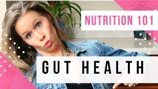 Gut Health Prebiotics Probiotics (What You NEED to Know!)