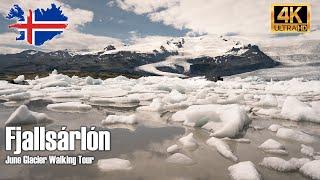 Fjallsárlón Glacier Lagoon Tour 