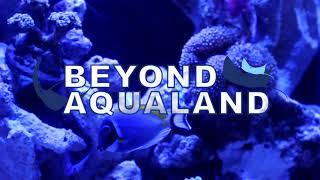 Welcome to Beyond Aqualand Channel!