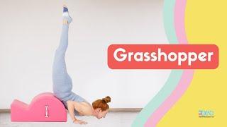 Grasshopper on the Spine Corrector | Online Pilates Classes
