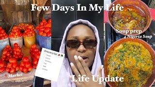 Few Days In My life vlog: Come with my to the market, Grocery haul + Life update…