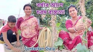 আজ বিকেলে বর্ষা নামার আগে অনেক কাজ করতে হলো! Sundarban Diary