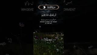 Surah Al-An'am Ayat 15-16 | Quranic Inspiration | Islamic Guidance #quran #short