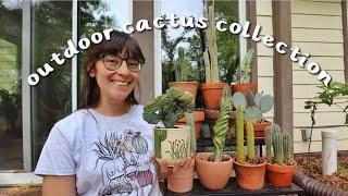 My Outdoor Cactus Collection | your sign to put your cactus outside this summer!!