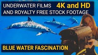 Underwater Films and Royalty Free Stock Footage from the world's ocean in 4K and HD