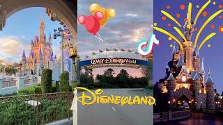 Disneyland   TikTok Compilation 