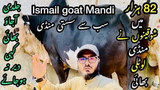 Ismail goat Mandi Karachi Cattle Rates Update ️ || 28 may 2025  || Cow Mandi 2025
