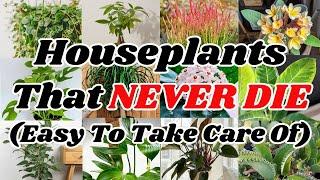 Top 20 EASIEST Plants To Look After (THESE NEVER DIE)