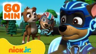PAW Patrol Mighty Pups Ultimate Animal Rescues! w/ Chase & Liberty | 1 Hour Compilation | Nick Jr.