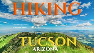 Tucson's Best Hiking Trails | Tucson Arizona