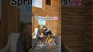 Slow Spring days on the homestead!  #HomeFreeAlaska #Alaska #Spring #Shorts