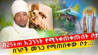 አጋንንት ገና ወዶቦታው ሲቀርቡ የሚጮሁበት በንቦች መንጋ የሚጠበቀው ድንቅ ስፍራ | ደንቆላኮ አቡነ ገብረመንፈስ ቅዱስ ቤተክርስቲያን