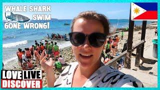 Whale Shark Fail: My Oslob Swim Wasn't What I Expected!