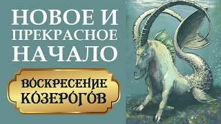 СЕКРЕТЫ И СОВЕТЫ ДЛЯ КОЗЕРОГОВ НА НОВЫЙ ЦИКЛ САТУРНА.  ШКОЛА ВЫЖИВАНИЯ ДЛЯ КОЗЕРОГОВ