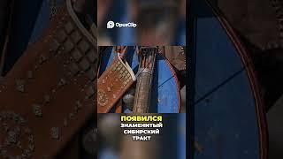 Секреты Сибири: золото, торговля и культурное развитие