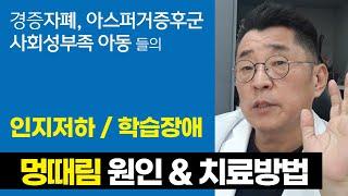 경증 자폐, 아스퍼거증후군, 사회성부족한 아이들 멍때리는 이유 치료방법