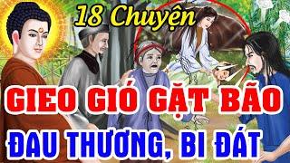 18 Chuyện Nhân Quả Phật Giáo Hay Nhất 2024 ,GIEO GIÓ GẶT BÃO - Luật Nhân Quả Không Bỏ Sót 1 Ai.