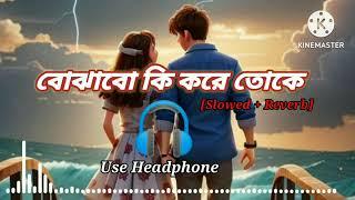 Bojhabo Ki kore Tokeবোঝাবো কি করে তোকে।। BT Lofi II Arijit Singh II Lofi premi