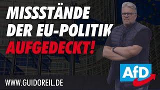 AfD: Missstände der EU-Politik aufgedeckt!