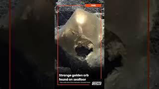 Strange golden orb found on seafloor