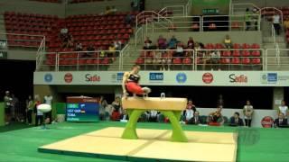 TOBA Andreas (GER) - 2016 Olympic Test Event, Rio (BRA) - Qualifications Pommel Horse