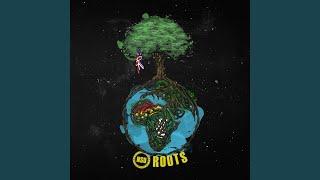 Roots