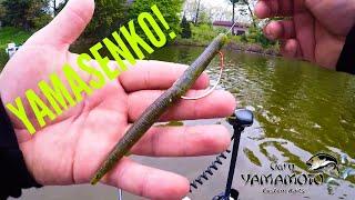 How to Fish a SENKO!