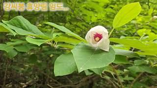 경기둘레길 17~18코스... (오뚜기고개~귀목고개)    20250531