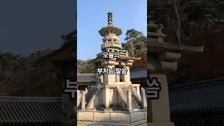 5월 25일 오늘의 부처님 말씀. #불교 #명언 #힐링 #명상