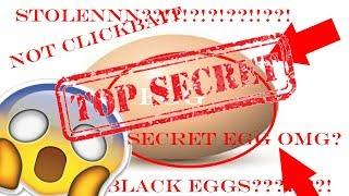 THE EGG WE NEVER KNEW ABOUT?!??!?!