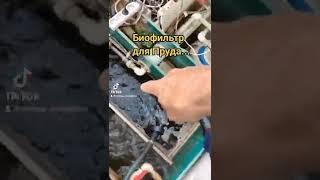 Биофильтр для Пруда. #shorts, #водоем, #пруд, #ландшафтныйдизайн