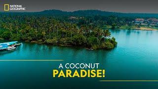A Coconut Paradise! | It Happens Only in India | National Geographic