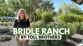 Experience Luxury Living At Bridle Ranch In Queen Creek