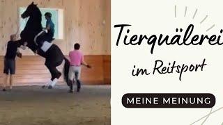 Tierquälerei im Reitsport