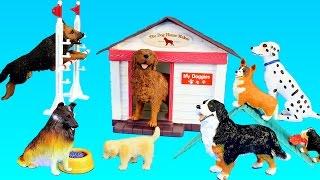 Toy Dogs School Playset For Kids - Learn Animal Names For Kids