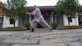 Tai Zhu Chang Quan