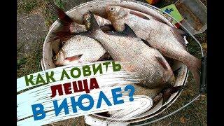 Лещ в июле! Как ловить?