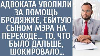 Адвоката уволили за помощь нищенке, сбитой сыном мэра на переходе… То, что было дальше, шокировало…