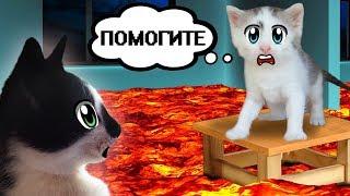 КОТИКИ ВЫБИРАЮТ ЧТО КРУЧЕ? 3 МАРКЕРА ЧЕЛЛЕНДЖ? Floor is lava CHALLENGE или ЕДА СКВИШИ