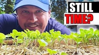 How Much Time Do We Have Left To Plant? - Garden Quickie Episode 212