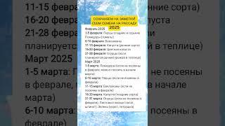 Сеем семена на рассаду #дача #огород #полезныесоветы #советы