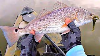 The Best Way To Rig And Retrieve Jerk Shad Lures To Catch Redfish, Snook, & Trout