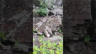 전원주택 전망좋은집 명지산 #nature 운악산 연인산 를한눈에 구매문의01030161624