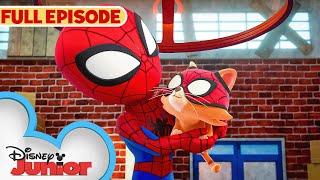 Spidey Cat | S2 E18 Pt. 2 | Full Episode | Marvel's Spidey and his Amazing Friends | @disneyjr​