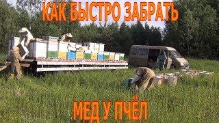 КАК БЫСТРО ЗАБРАТЬ МЕД У ПЧЕЛ. Снятие магазинных надставок с медом, медосбор 2018. Отбор меда.