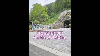 대전 근교 가족 여행지 추천 옥천 장령산 자연휴양림 힐링여행!